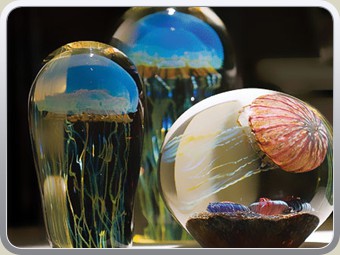 Worlds-Best-Selection-of-World-Class-Glass-Jelly-Fish-Sculptures