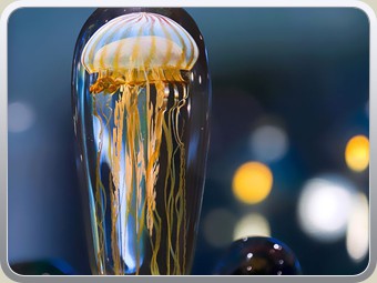Worlds-Best-Selection-of-World-Class-Glass-Jelly-Fish-Sculptures-2